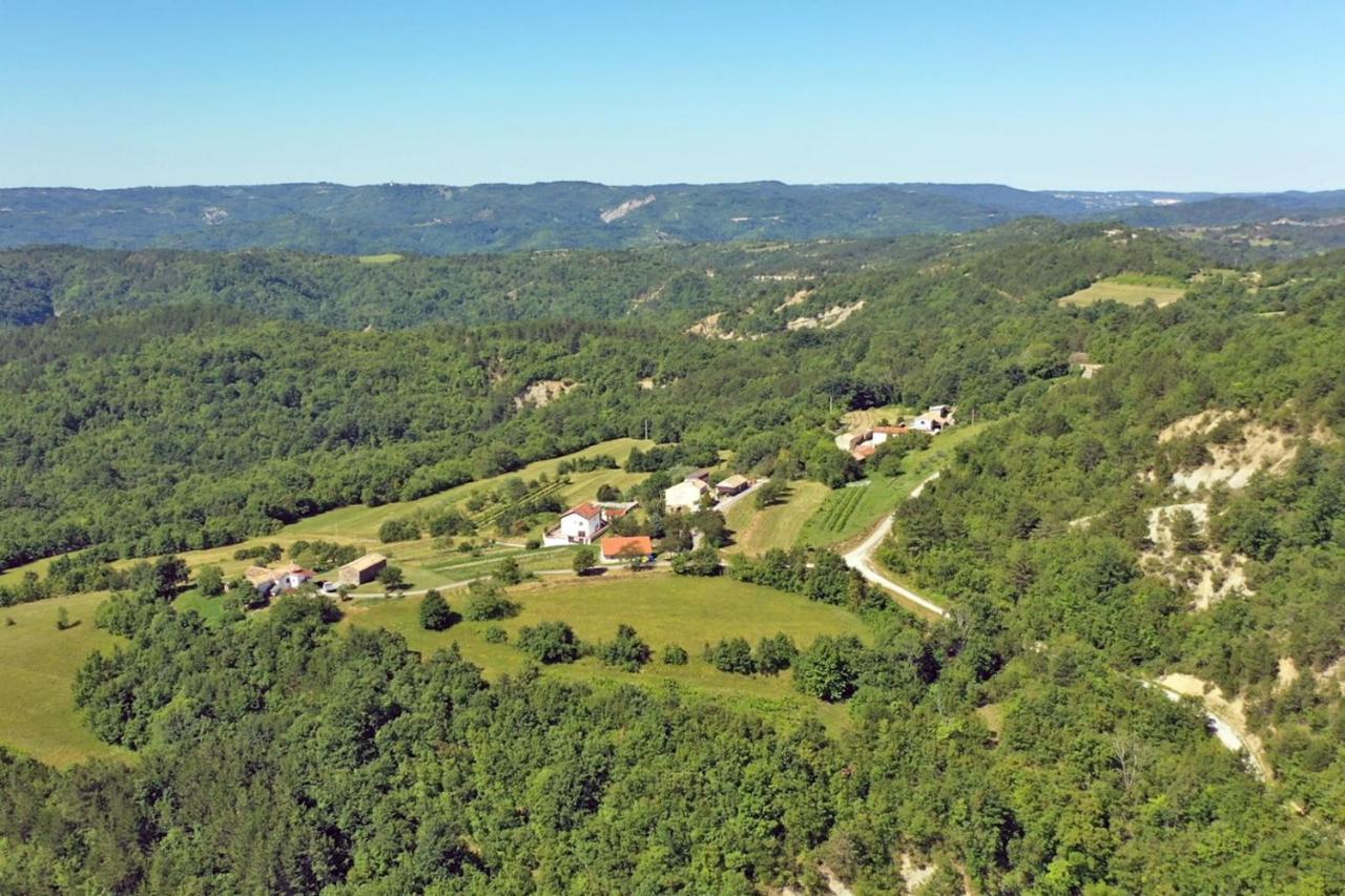 Gradinje Apartment Mirella For 6 Persons Located In Central Istria מראה חיצוני תמונה